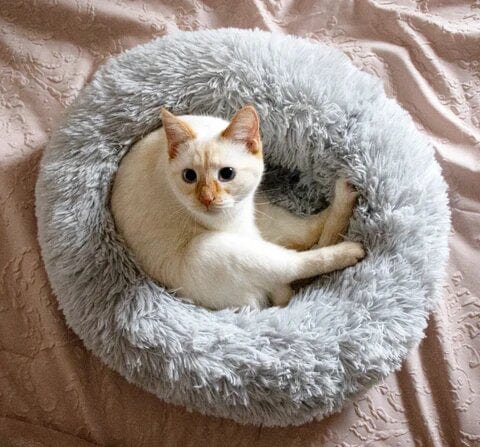 Comfortabel FluffyNest hondenbed - Ultrazacht en geschikt voor alle hondenrassen.