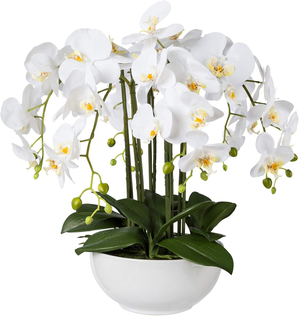 FloraLuxe | Realistische kunstplant voor huisdecoratie | Wit