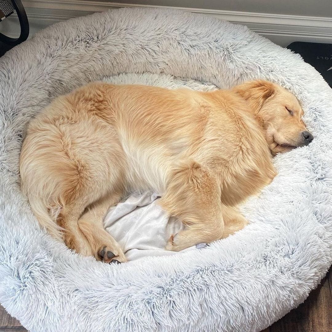 Ultrazacht comfortabel hondenbed - FluffyNest, ideaal voor ultiem comfort.